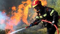 Μεγάλη κινητοποίηση της Πυροσβεστικής για φωτιά στο Ασήμι