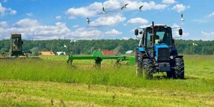 ΕΕ: «Πακέτο» ύψους 15,77 εκατ. ευρώ για αγρότες
