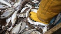 Οι προθεσμίες για τις άδειες αλιείας