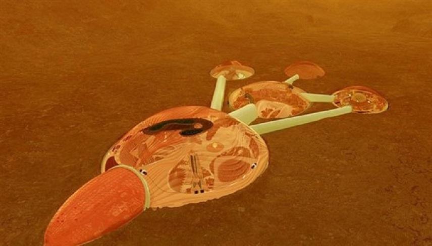 Τα ΗΑΕ θέλουν να χτίστουν πόλη στον πλανήτη Άρη μέχρι το 2117 [Video]