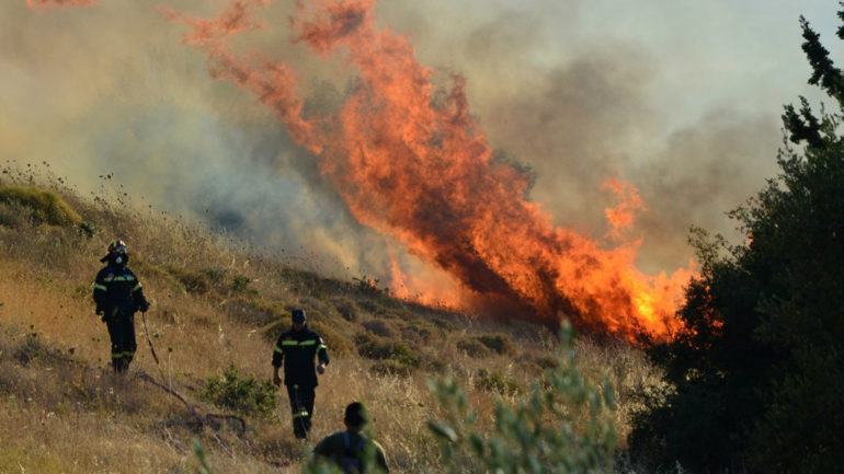 Ανεξέλεγκτη φωτιά απειλεί το δάσος - Μάχη δίνουν οι πυροσβέστες