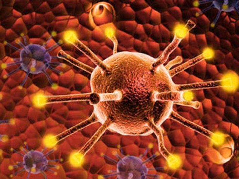 Βιταμίνη D: «Kλειδί» για την ανοσία κατά του καρκίνου και την αποτελεσματική ανοσοθεραπεία