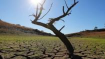 Ξηρασία: Απειλείται η αγροτική παραγωγή της Ελλάδας
