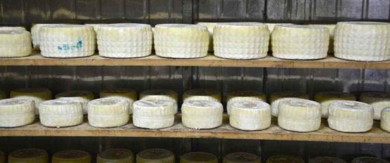 Αφιέρωμα στην Κρήτη: Γιατί βρίσκεται στην υψηλότερη θέση κατανάλωσης τυριού παγκοσμίως