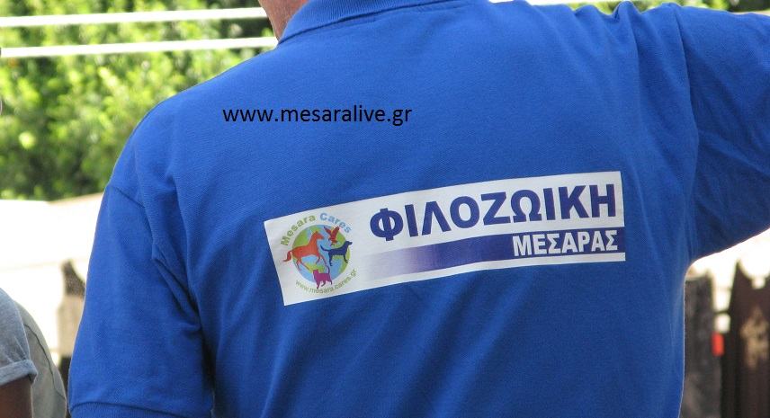 Έκκληση από το Mesara Cares για κουταβάκια που εγκαταλείφθηκαν