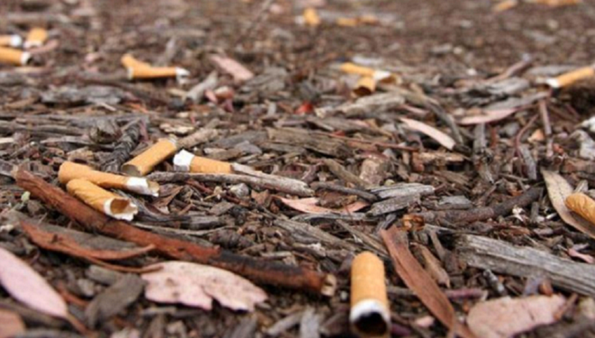 Η μεγαλύτερη μόλυνση του πλανήτη είναι τα αποτσίγαρα: Πώς το κάπνισμα βλάπτει και το περιβάλλον.