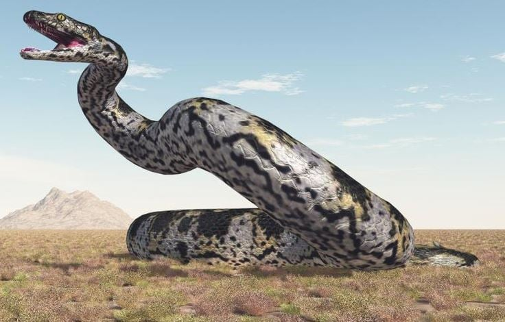Ανακαλύφθηκε αρχαίο φίδι που ήταν μεγαλύτερο από Τυραννόσαυρο