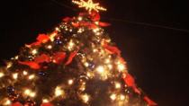 Φωταγωγήθηκε το πρώτο Χριστουγεννιάτικο δέντρο στην Ελλάδα για φέτος