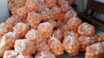 Έκρηξη εξαγωγών στην πανδημία - “Πρωταθλητές” πορτοκάλια και νεκταρίνια