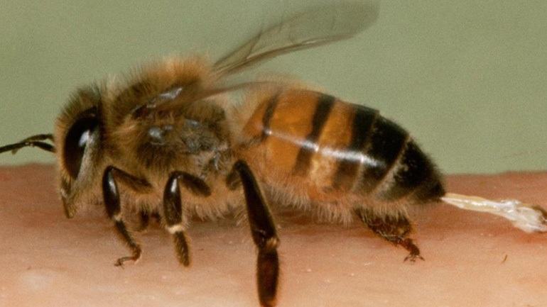 55χρονη στον Κόκκινο Πύργο σώθηκε από θαύμα από τσίμπημα μέλισσας στη γλώσσα