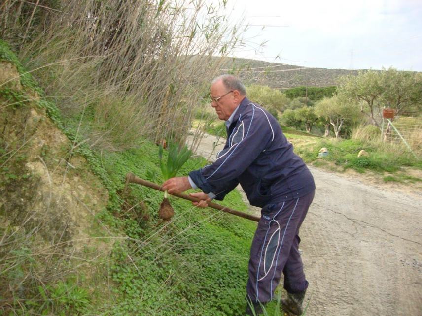 Μαζέψανε και φέτος τις Ασκελετούρες! (φωτο)