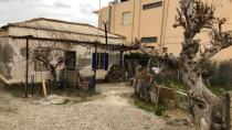 Κύμα αγάπης για να σωθουν από το Γολγοθά τους μια γιαγια με 5 εγγόνια