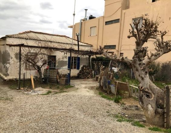 Κύμα αγάπης για να σωθουν από το Γολγοθά τους μια γιαγια με 5 εγγόνια