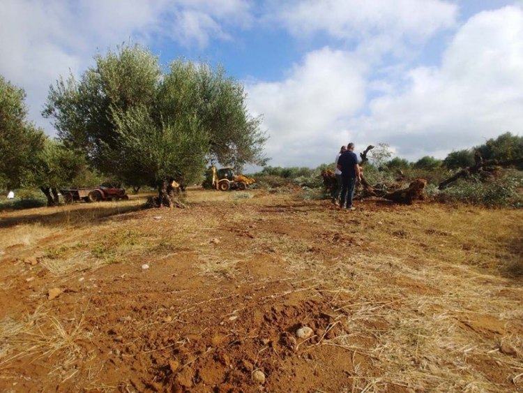 Οι μπουλντόζες μπήκαν στο χώρο που θα γίνει το νέο αεροδρομιο