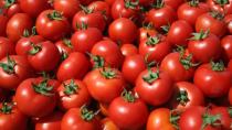 Ντομάτα από τη Μεσαρά - Προβληματα αρκετά για τους αγρότες