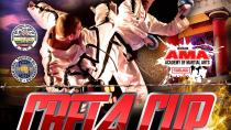 CRETACUP 2019: Πανελλήνιοι αγώνες επίδειξης taekwondo