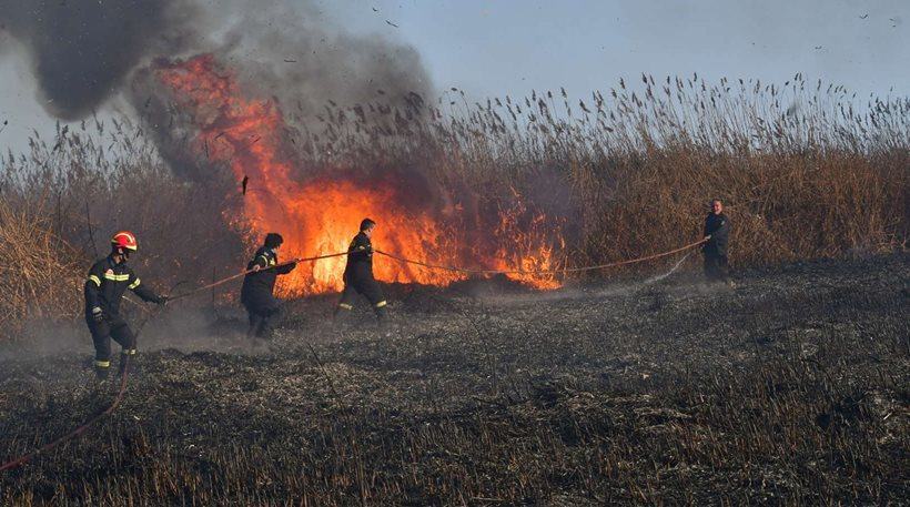 Φωτιά σε αγροτική περιοχή της Αγίας Βαρβάρας