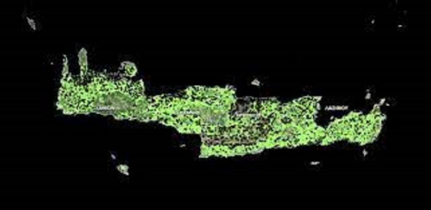 Τροποποίηση των δασικών χαρτών στην Κρήτη-Η διαδικασία για αγροτική χρήση