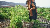 Η Περιφέρεια Κρήτης αξιοποιεί την τεχνολογία για την ενημέρωση του Μεσαρίτη αγρότη
