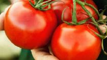 Απαγορευμένες ντομάτες: Κατασχέθηκε 1 τόνος στη λαχαναγορά του Ρέντη.