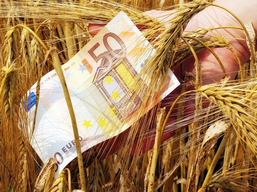 Aγροτικές επιδοτήσεις: Απο σήμερα η πληρωμή της προκαταβολής