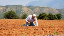 ΕΛΣΤΑΤ: Στα ύψη παραμένει το κόστος παραγωγής για τους αγρότες