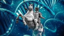 Αποκαλύφθηκε το DNA των Σκοπιανών - Η σχέση τους με τους Αρχαίους Μακεδόνες είναι η... αναμενόμενη