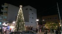 Φωταγωγήθηκε το Χριστουγεννιάτικο Δέντρο του Δήμου Φαιστού