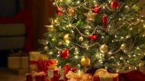 Πότε ανάβουν το χριστουγεννιάτικο δέντρο στο «ΜΕΛΛΟΝ»