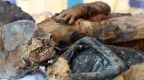 Ανακαλύφθηκε τάφος με 50 μουμιοποιημένα ζώα