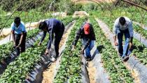 Σύσκεψη για την έλλειψη εργατων γης στην Κρήτη