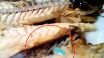 Απίστευτη περιπέτεια Ηρακλειώτη: Βρήκε ετικέτα μέσα στο ψάρι του