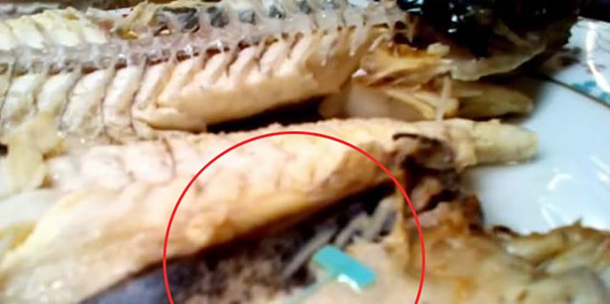 Απίστευτη περιπέτεια Ηρακλειώτη: Βρήκε ετικέτα μέσα στο ψάρι του
