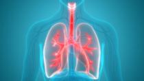 Κάπνισμα: Με ποιες τροφές επιδιορθώνεται η πνευμονική λειτουργία πρώην καπνιστών