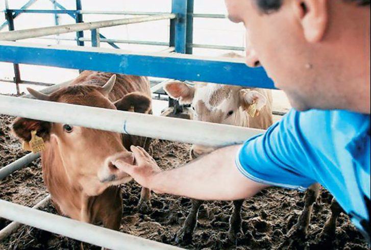 Ζητείται κτηνίατρος για θεση ευθυνης