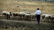 Οι κτηνοτρόφοι της Κρήτης διαμαρτύρονται στον ΟΠΕΚΕΠΕ για τις πληρωμές