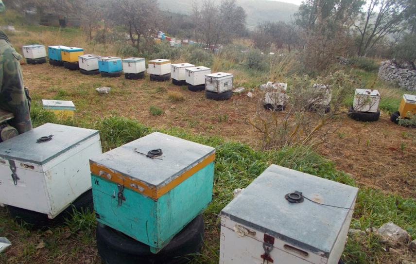 8 εκατ. ευρώ για την ενίσχυση της μελισσοκομίας
