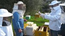 Σεμινάριο μελισσοκομίας από το ΚΕΚ του Επιμελητηρίου