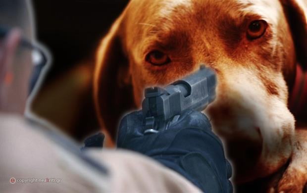 Εντοπίστηκε από την ΕΛ.ΑΣ., ο δράστης που πυροβόλησε σκύλο