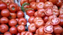 Δεκάδες τόνοι ντομάτας στα αζήτητα-Οι τιμές στο Τυμπάκι