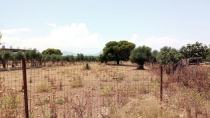Δικηγορικός σύλλογος Ηρακλείου: Με το ΠΔ για τους οικισμούς εγείρονται ζητήματα συνταγματικότητας