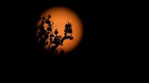 Φεγγάρι του Λύκου: Έφτασε η πρώτη πανσέληνος του 2024