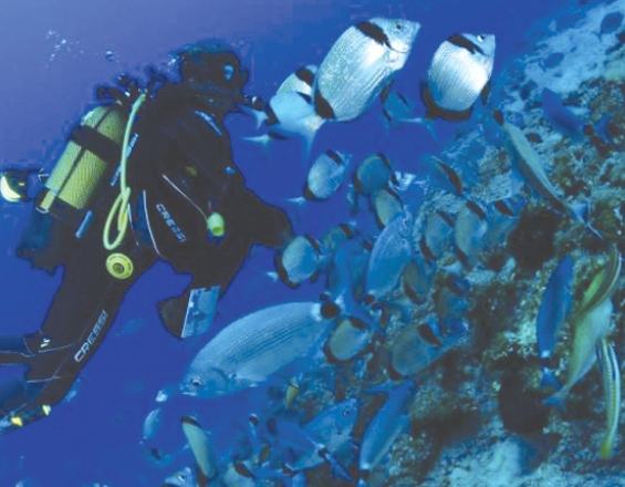 Εγκρίνεται η χωροθέτηση του καταδυτικού πάρκου