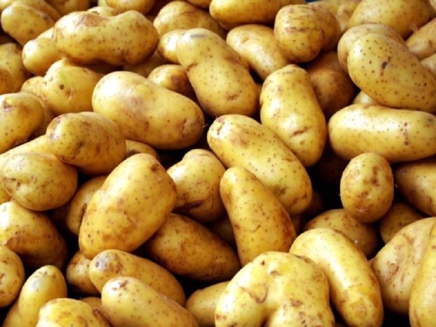 Πατάτες: Πότε προκαλούν δηλητηρίαση στον οργανισμό