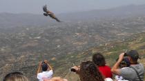 Απελευθέρωση άγριων πουλιών για τον εορτασμό της Παγκόσμιας Ημέρας Βιοποικιλότητας
