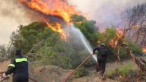 Eλλάδα: Μεγάλη φωτιά στη Σταμάτα Αττικής-Κάιγονται σπίτια