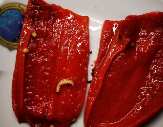 Έγκυος έφαγε τις πιπεριές ανακαλύπτοντας μετά τα... σκουλήκια (φωτο)