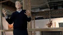O Bill Gates πιστεύει ότι οι κότες θα «σώσουν» τον κόσμο!