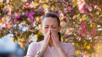 Αλλεργίες: Τι να κάνουμε για να απαλλαγούμε