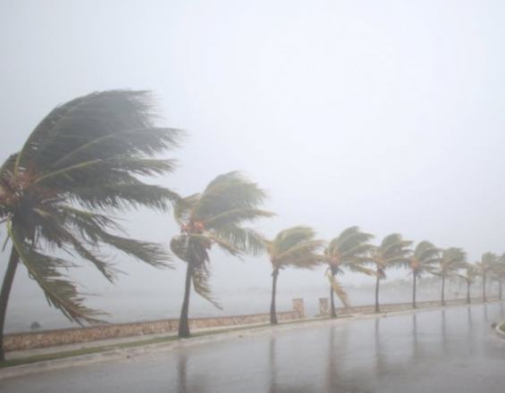 Ο τυφώνας Φλόρενς εξασθένησε (βίντεο)